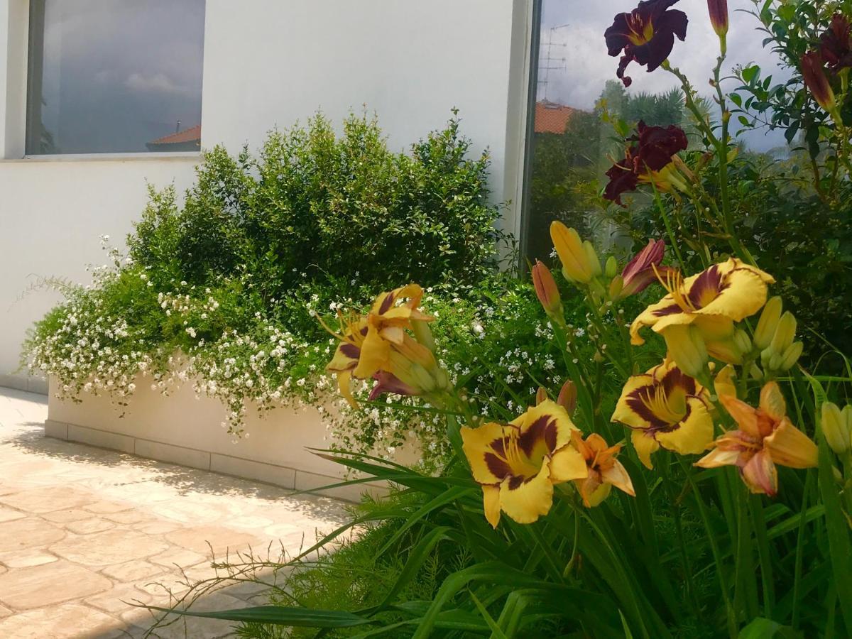 Aparthotel Path House - Etna & Sea View Riposto Exterior foto
